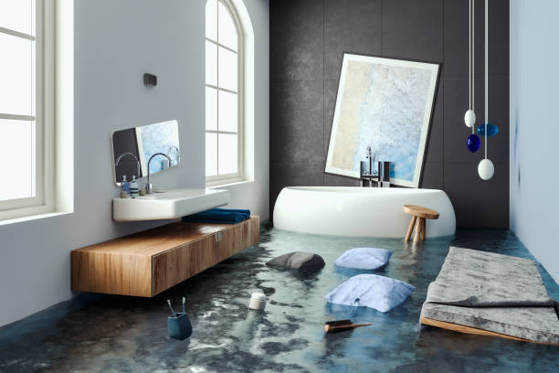 Best Water damage restoration near me  in Nashvle, IL